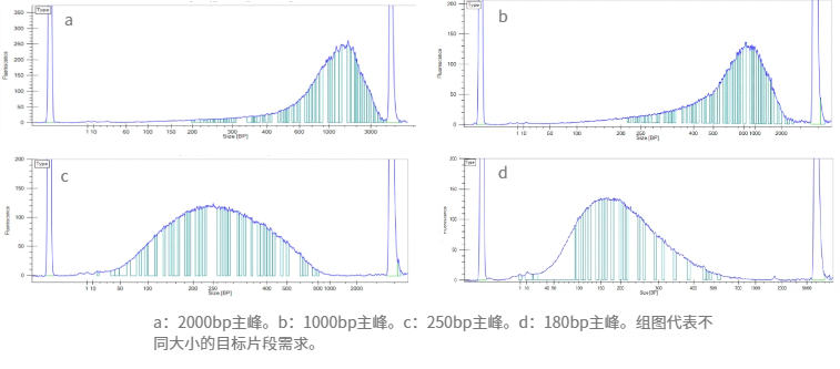 BoFU®100打断不同DNA片段的需求