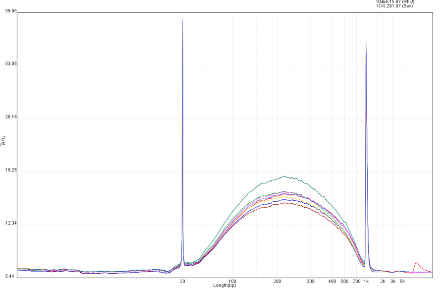 非接触式超声破碎仪DNA片段化结果
