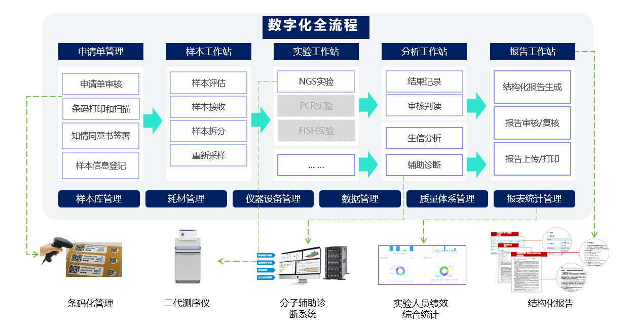 分子实验室信息管理系统（MLIS）流程