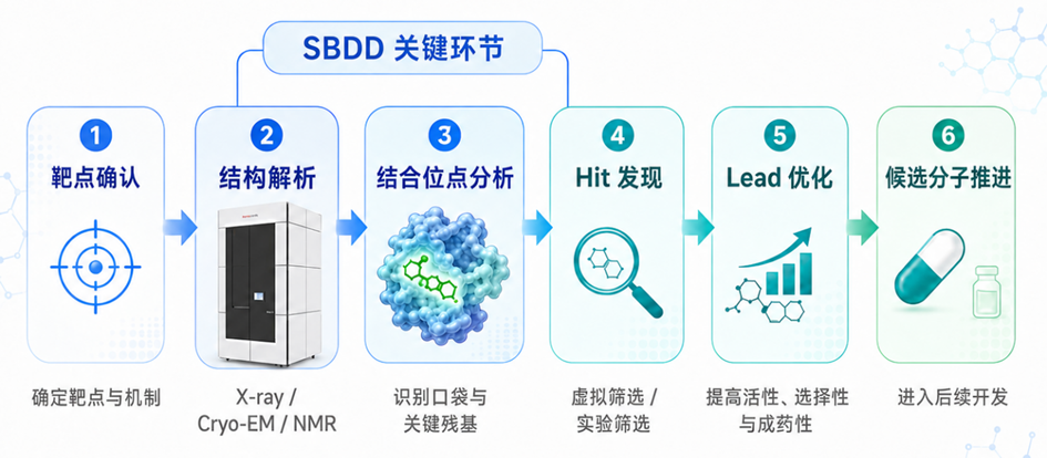 新药研发流程
