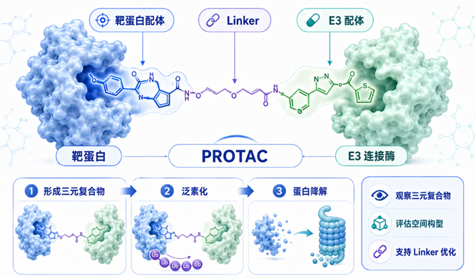 PROTAC 药物设计