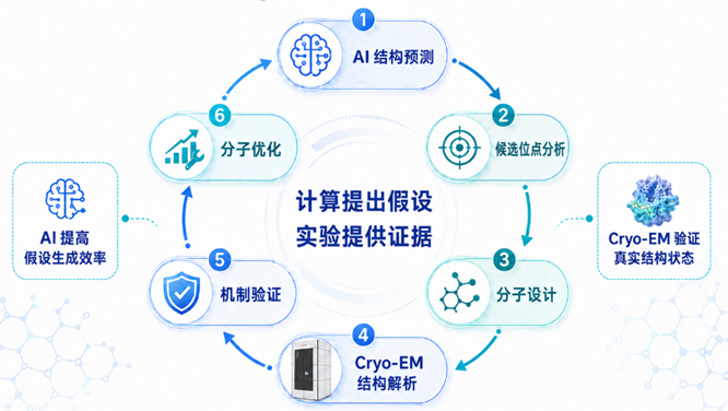 AI 与Cryo-EM在药物研发结构验证中的结合模式