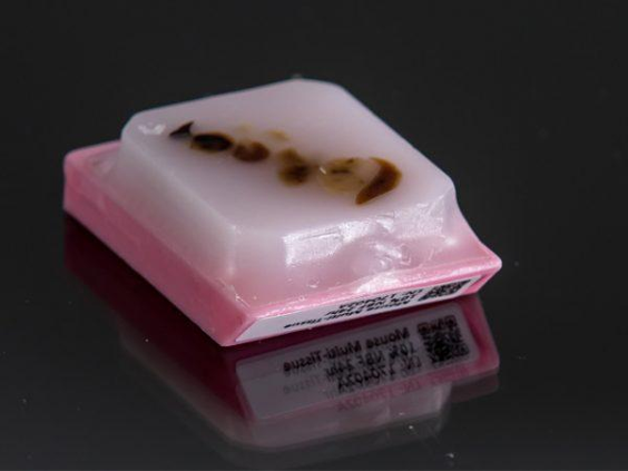 FFPE样本
