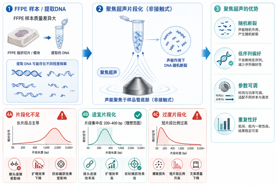聚焦超声片段化更适合FFPE样本