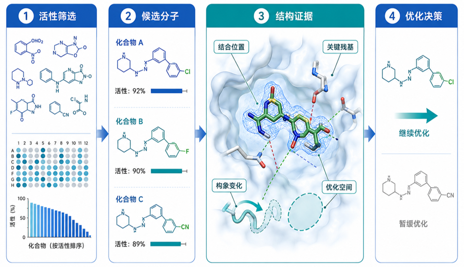 结构证据帮助小分子药物研发