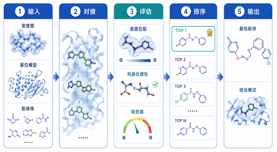 计算辅助配体识别流程