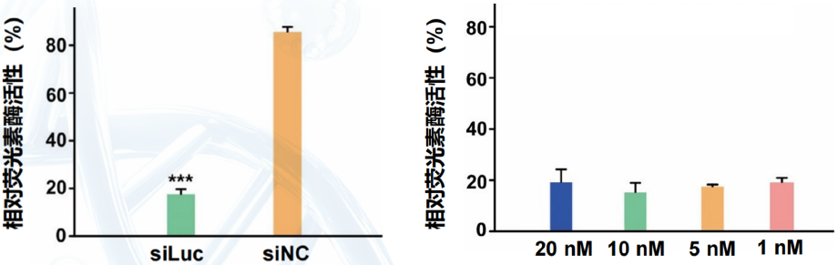 LL TransR siRNA在HeLa细胞上递送靶向荧光素酶的siRNA对荧光素酶基因的沉默效果
