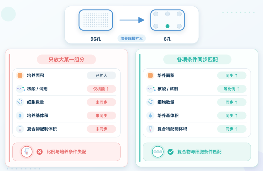 转染体系放大时单一组分放大与各项条件同步匹配示意图
