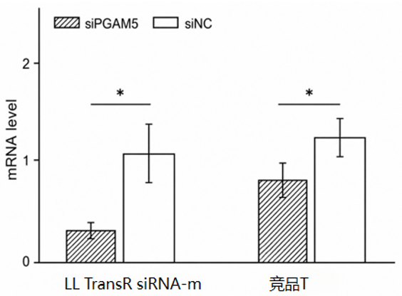 LL TransR siRNA-m转染RAW264.7细胞24小时后的PGAM5 mRNA水平