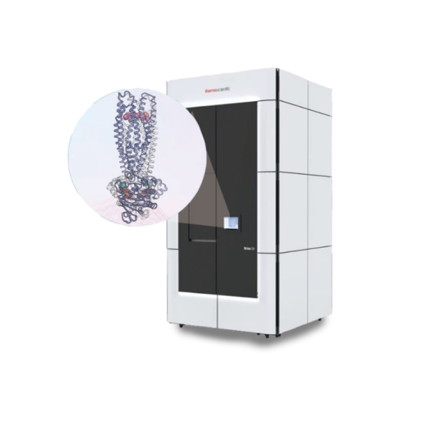 Cryo-EM SPA单颗粒分析
