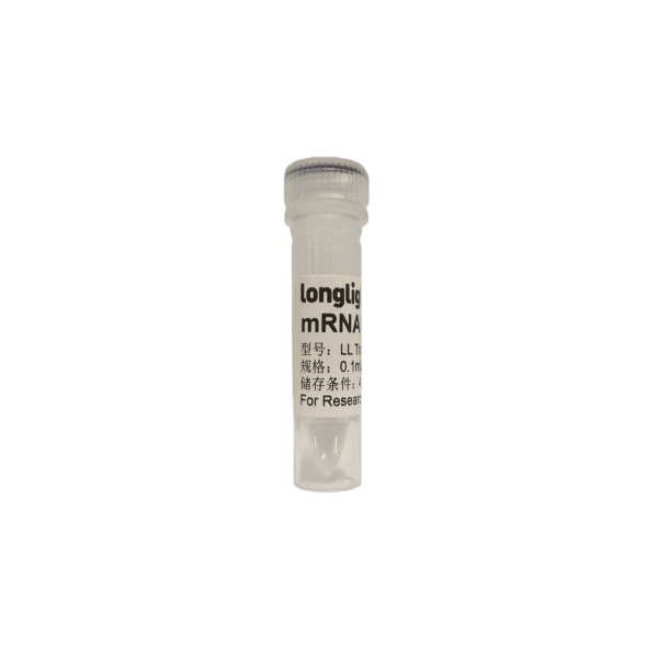 达远辰光LL TransR DNA、mRNA和siRNA转染试剂系列